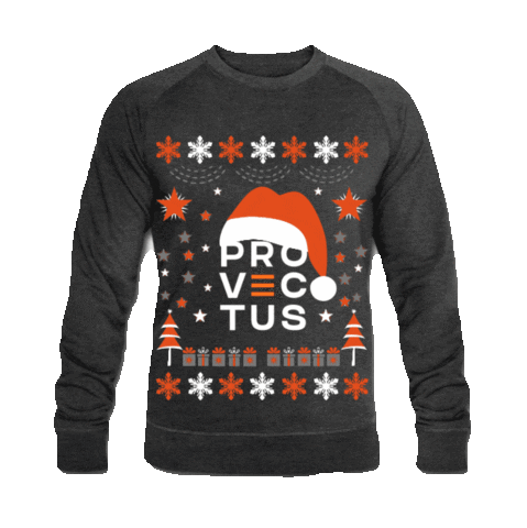 Provectus giphyupload weihnachten sweater froheweihnachten Sticker