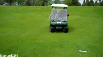 golf cart GIF