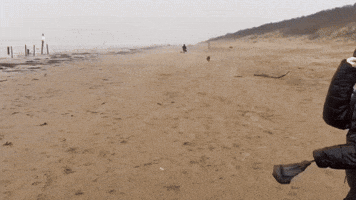 Wind Whips Sand as Storm Henk Hits English Seaside