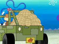 season 5 the inmates of summer GIF by SpongeBob SquarePants