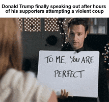 Movie gif. Andrew Lincoln, as Mark in Love Actually, holds up a sin that says, “To me, you are perfect.” The caption reads, “Donald Trump finally speaking out after hours of his supporters attempting a violent coup.”
