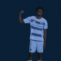 Major League Soccer Football GIF by Sporting KC