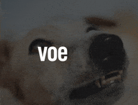 Dog Tsek GIF by Inchiology