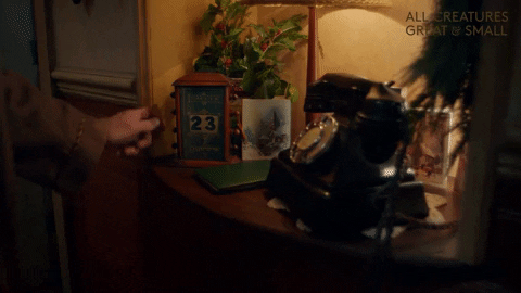 Christmas Eve GIF by All Creatures Great And Small