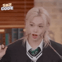 Stray Kids Skz GIF