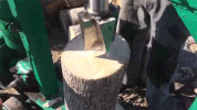 log satisfying GIF