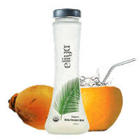 eliyanyc coconut water eliya king coconut water Sticker