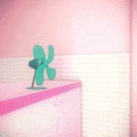 Pink Fan GIF by hamasakihaus