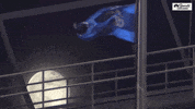 flying chicago cubs GIF by NBC Sports Chicago