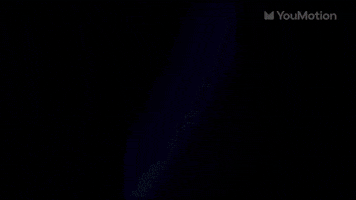 Animated logo visual opener pro animated elements