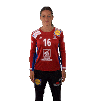 Ffhandball Sticker by Fédération Française de Handball