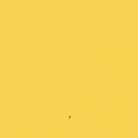Flower Still Growing GIF