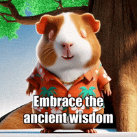 Wisdom GIF by Guinea Gambino