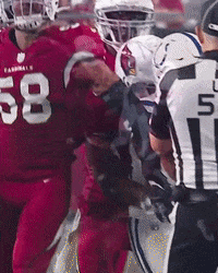 Celebrate Jordan Hicks GIF by Arizona Cardinals