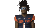Happy Celebration Sticker by Carson-Newman Athletics