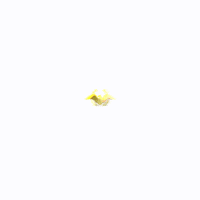 GIF by Agroindustria Peimbert