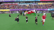 World Rugby Sport GIF by Rugby World Cup