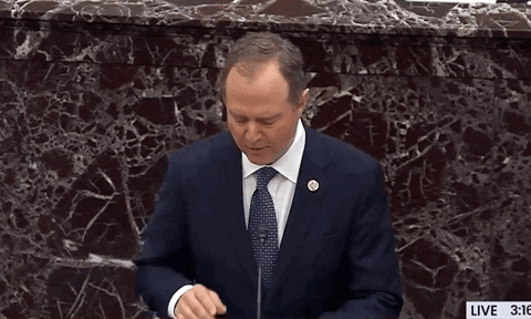 Adam Schiff GIF