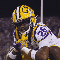 College Football GIF by LSU Tigers