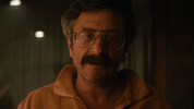 glow GIF by netflixlat