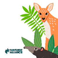 Flowers Forest Sticker by Rainforest Alliance