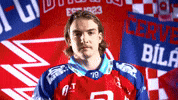 Hockeytown GIF by HC Dynamo Pardubice