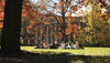 Campus Vandy GIF by Vanderbilt University