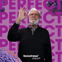 Well Done Applause GIF by Kochstrasse™