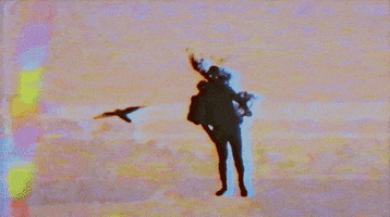 fun party GIF by GOLDN