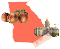 States Reaction Sticker by Crooked Media