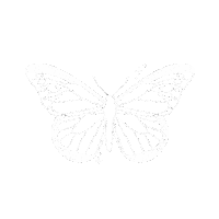 Magic Moon Sticker