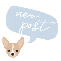 eddiethechihuahua dog new new post post Sticker