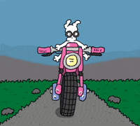 chippythedog motorcycle road trip chippythedog motorbike GIF