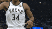 giannis antetokounmpo nba GIF by Milwaukee Bucks