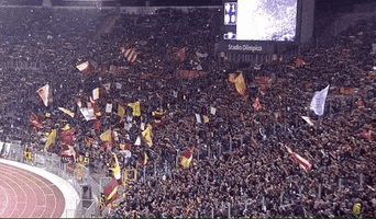 curva sud football GIF by AS Roma