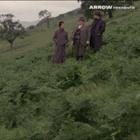 British Film GIF by Arrow Video