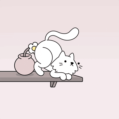 Trick Or Treat Cat GIF by doodles