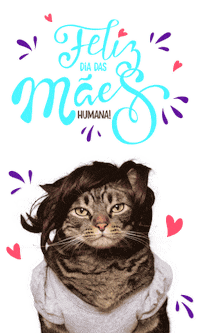 cat love Sticker