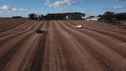 sementescerquinha sementes cerquinha GIF