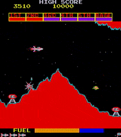 GIF by Marcie LaCerte