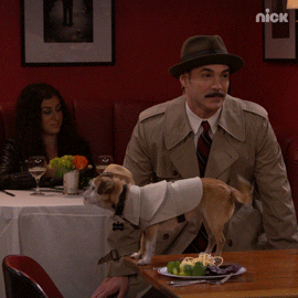 Oh No Dog GIF by Nickelodeon