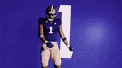 Nfl Draft Football GIF