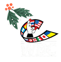 wbcboxinggiphy christmas new year boxing box Sticker