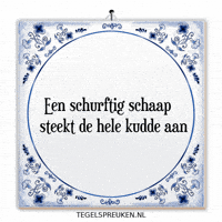 Spreuk Verandering GIF by Tegelspreuken.nl