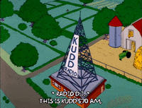 Season 3 Episode 20 GIF by The Simpsons