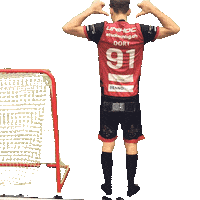 Goal Tor Sticker by UHC Sarganserland