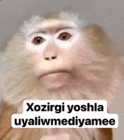 URGIFCRETOR uzbekistan uzb astrogifuz uyalishmaydi GIF