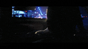 malik djoudi GIF