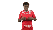 Celebration Goal Sticker by grazerak