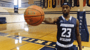 vwu_marlins marlins vwu wethebeach virginiawesleyan GIF